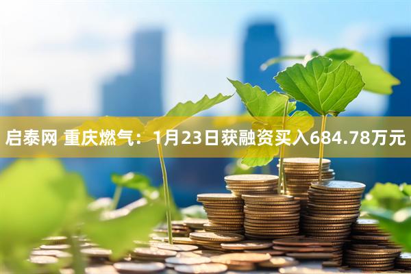 启泰网 重庆燃气：1月23日获融资买入684.78万元